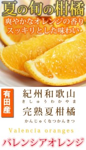 秀品　希少な国産バレンシアオレンジ　2.5kg　※2025年6月下旬頃～2025年7月上旬頃に順次発送予定（お届け日指定不可）【uot752】