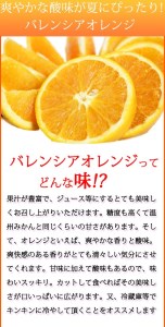 秀品　希少な国産バレンシアオレンジ　2.5kg　※2025年6月下旬頃～2025年7月上旬頃に順次発送予定（お届け日指定不可）【uot752】