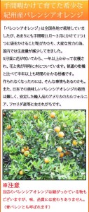 秀品　希少な国産バレンシアオレンジ　2.5kg　※2025年6月下旬頃～2025年7月上旬頃に順次発送予定（お届け日指定不可）【uot752】