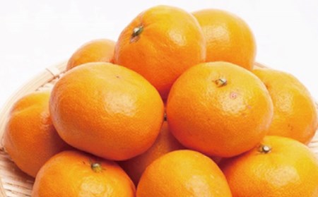 厳選　越冬完熟みかん1.5kg+45g（傷み補償分）【ハウスみかん】【光センサー選別】【ikd012】