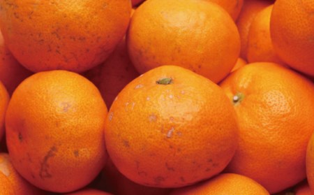 家庭用　越冬完熟みかん2kg+60g（傷み補償分）【ハウスみかん】【わけあり・訳あり】【光センサー選別】【ikd013】 