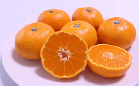 【大玉】有田 みかん 5kg(2L-3L)【hdm001-1A】