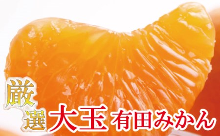 厳選　大きな有田みかん11kg+330g（傷み補償分）【光センサー選別】 【ikd025】
