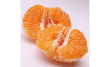 <先行予約>厳選はるみ2.5kg+250g(傷み補償分)【デコポンの姉妹品種・新食感春みかん】【光センサー選別】※2026年2月~3月下旬ごろに順次発送【ikd048C】