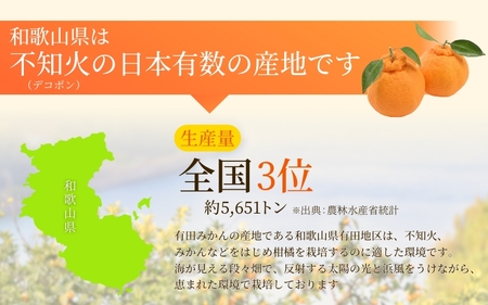 【先行予約】家庭用不知火2.5kg+250g(傷み補償分)【デコポンと同品種】【わけあり・訳あり】【しらぬひみかん・しらぬい】【光センサー選別】/ みかん 不知火 デコポン 和歌山 フルーツ 果物 くだもの 柑橘 【ikd053D】