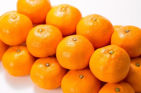 【特選ギフト品】田村 みかん 10kg 【Mサイズ】【sutb303B】