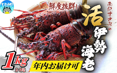 伊勢海老 【日付指定必須】南紀すさみの伊勢エビ 1kg（2匹）【eki109A】