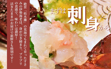 伊勢海老 【日付指定必須】南紀すさみの伊勢エビ 1kg（2匹）【eki109A】