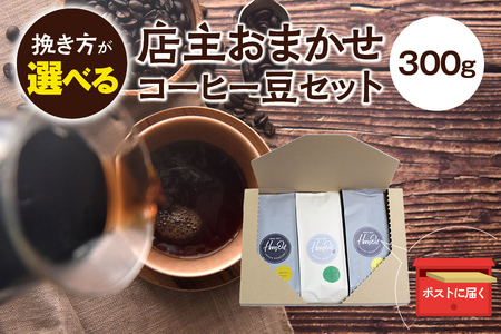 【豆】店主おまかせ 挽き立てコーヒー豆3種類セット(100g×3種類）【hgo003-d】