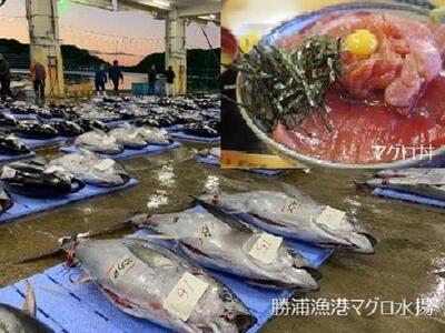 【那智勝浦町、白浜町、上富田町】JTBふるさと旅行券（900,000円分）有効期間5年 | 予約 宿泊 観光 体験 温泉 ホテル 旅館 チケット 子供 子連れ カップル 家族 店頭 電話 那智勝浦