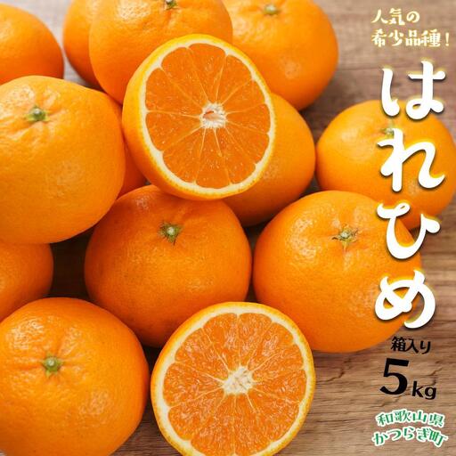 はれひめ（ミカンの希少種） 秀品  約5ｋｇ（25個～30個入）［先行予約］［2026年12月中旬頃から発送］［KG3］