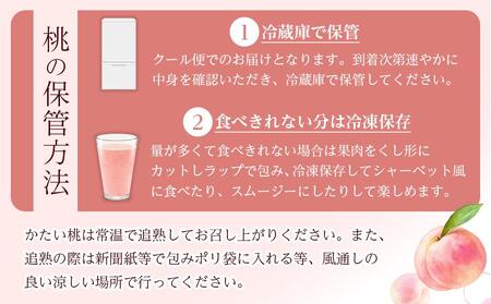 和歌山県産 旬 の 桃 5～6玉入り 秀品【2025年6月下旬より順次発送】【MG33】