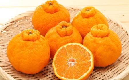 和歌山県産不知火約4kg（サイズ混合）★2026年2月下旬頃より順次発送［TM130］