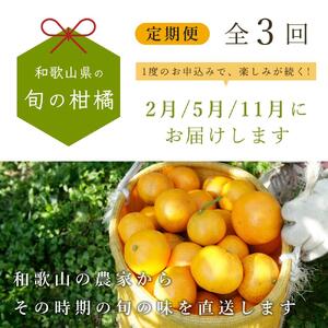 【 2・5・11月 全3回 】 柑橘定期便B【IKE8】