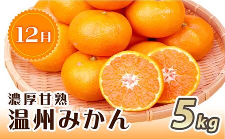 【2・7・12月 全3回】紀州和歌山産旬のフルーツセット（いちご・桃・有田みかん）定期便 【魚鶴商店】【UT70】