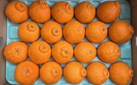 和歌山県産不知火約5kg（18玉～24玉おまかせ）L～3Lサイズ★2026年2月下旬頃より順次発送［TM159］