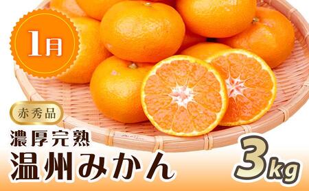 【1・4・7月 全3回】紀州和歌山産旬のフルーツセット(みかん・なつみ・バレンシア)【UT82】