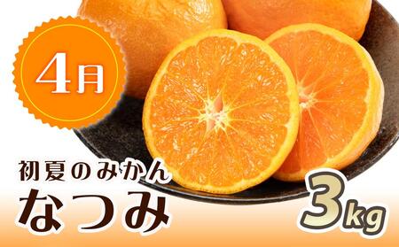 【1・4・7月 全3回】紀州和歌山産旬のフルーツセット(みかん・なつみ・バレンシア)【UT82】