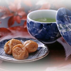 紀州南高梅干し 白干梅干し 1.2kg ご家庭用【US18】