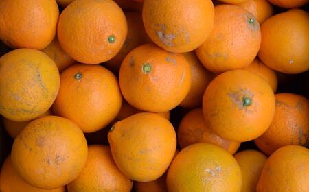 ［濃厚］有田産清見オレンジ約5kg（サイズおまかせ・ご家庭用）★2026年2月下旬頃より順次発送［TM151］