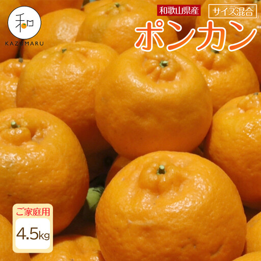 家庭用 森本農園の手選別 ポンカン 4.5kg 和歌山県産 サイズ混合 ［北海道・沖縄・離島配送不可］［RN12］［2026年1月上旬から順次発送］★