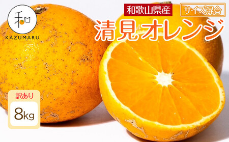 訳あり 森本農園の手選別 清見オレンジ 8kg 和歌山県産 サイズ混合 ［北海道・沖縄・離島配送不可］［RN25］［2026年2月上旬から5月中旬頃順次発送予定］ 6,390円