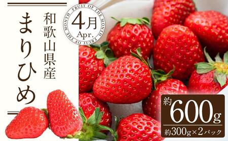 定期便全3回 【2月・3月・4月発送】 和歌山の春のフルーツ （ポンカン・清見オレンジ・まりひめ）【TM174】