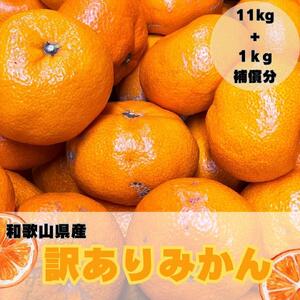 【訳あり】和歌山みかん約11kg+補償分約1kg サイズ混合 11月より順次発送 訳ありみかん 【red2】