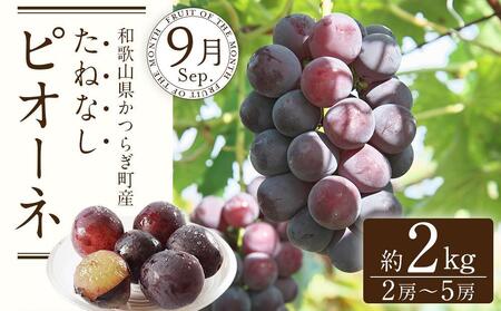 定期便全3回 【7月・8月・9月発送】 和歌山の夏のフルーツをお届け(桃・梨・たねなしピオーネ)【TM179】