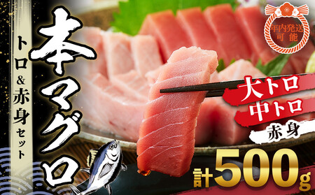 本マグロ トロ+赤身セット 500g | 【年末年始お届け可能】大トロ 中トロ 鮪 刺身 寿司 お正月