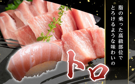本マグロ トロ+赤身セット 500g | 【年末年始お届け可能】大トロ 中トロ 鮪 刺身 寿司 お正月