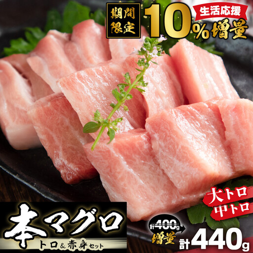 本マグロ トロセット 400g | 大トロ 中トロ 鮪 刺身 寿司