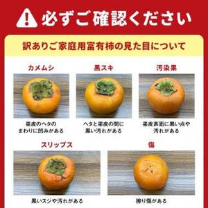 ［2026年11月上旬以降発送］◆先行予約◆和歌山県産 富有柿＜ご家庭用＞約7.5kg 満杯詰め［MG2］