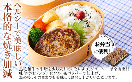 【年内発送可】鯵ハンバーグ 2個×6袋セット 鰺