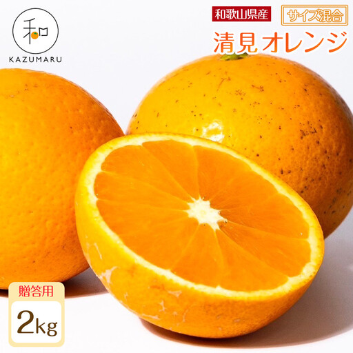 贈答用 森本農園の手選別 厳選清見オレンジ 約2kg 和歌山県産 サイズ混合 ［北海道・沖縄・離島配送不可］［2026年2月上旬から5月中旬頃順次発送予定］［RN88］