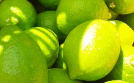 国産 農家直送 紀州レモン 約3kg サイズ混合 ［MS122］