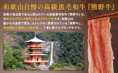 ［熊野牛］小間切れ肉 約600g