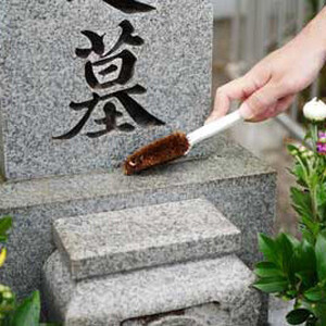 ［全12回］ お墓掃除定期便＋しきみ１対