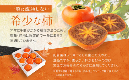 ［2026年発送分］先行予約！ 紀の川柿（果実の中身が黒い！黒蜜柿）希少栽培！ 秀品 6個～9個 こだわり農家厳選！［KG34］