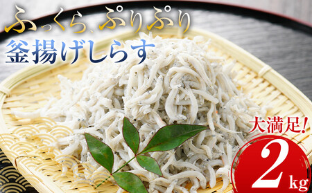 釜揚げしらす 2kg しらす　