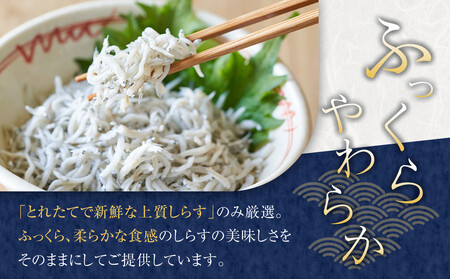 釜揚げしらす 2kg しらす　