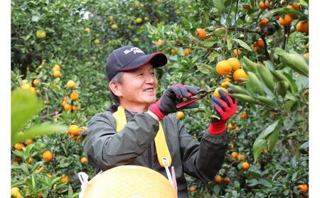 木なりはっさくみかんご家庭用 5kg箱入【WS9】