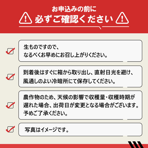 ［先行予約］ 和歌山県産キウイフルーツ約2kg サイズ混合 ★2026年11月下旬頃より順次発送 ［TM225］