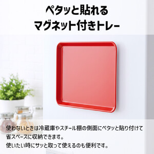 TATSU-CRAFT マグネット ノンスリップ トレー CASA 33cm WH ホワイト［Tk1186］