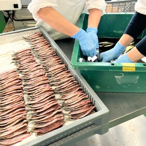 そのまま食べれる 真いわし 焼きみりん 500g×2袋 ご飯にも！おやつにも！