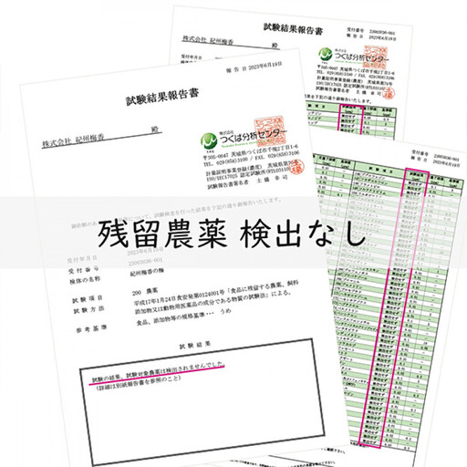 無添加 塩だけ 昔ながらの梅干し 南高梅 紀州梅香 完熟 白干し梅 訳あり つぶれ梅1kg （500gパック×2個） 塩分20% 20-G ［KU14］