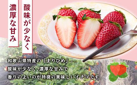 【2026年2月中旬より発送】いちご まりひめ 4パック入り いちご