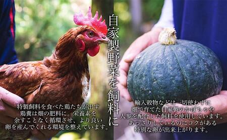 国産飼料にこだわった鶏が産む安全安心の 『レモン色たまご』1パック（10個入り）×3
