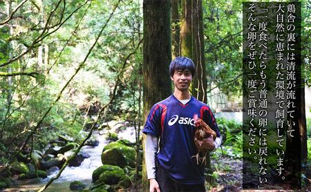 国産飼料にこだわった鶏が産む安全安心の 『レモン色たまご』1パック（10個入り）×3