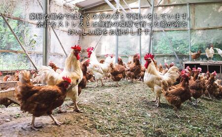 ※確認中※国産飼料にこだわった鶏が産む安全安心の 『レモン色たまご』1パック（10個入り）×6